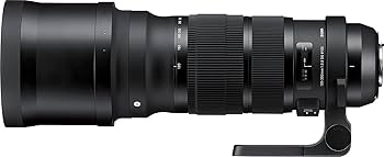 レンズ(ズーム) SIGMA 120-300mm F2.8 DG OS HSM Nikon F Amazon.co.jp: SIGMA 120-300mm F2.8 DG OS HSM | Sports S013